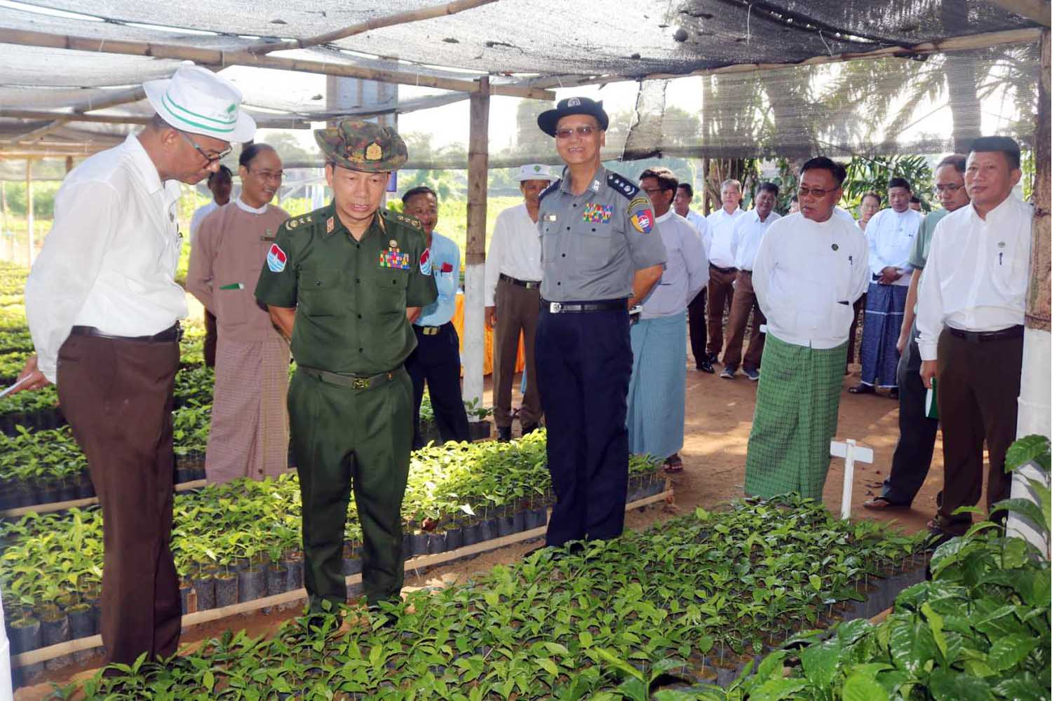 ထားဝယ်ခရိုင်အတွင်း ကော်ဖီစိုက်ပျိုးမည့် ဒေသခံတောင်သူများအား ကော်ဖီပျိုးပင်များ အခမဲ့ ပေးအပ်